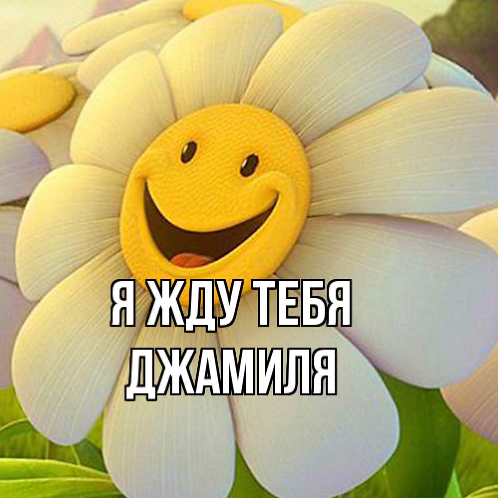 Открытка на каждый день с именем, Джамиля Я жду тебя позитивные мысли Прикольная открытка с пожеланием онлайн скачать бесплатно 