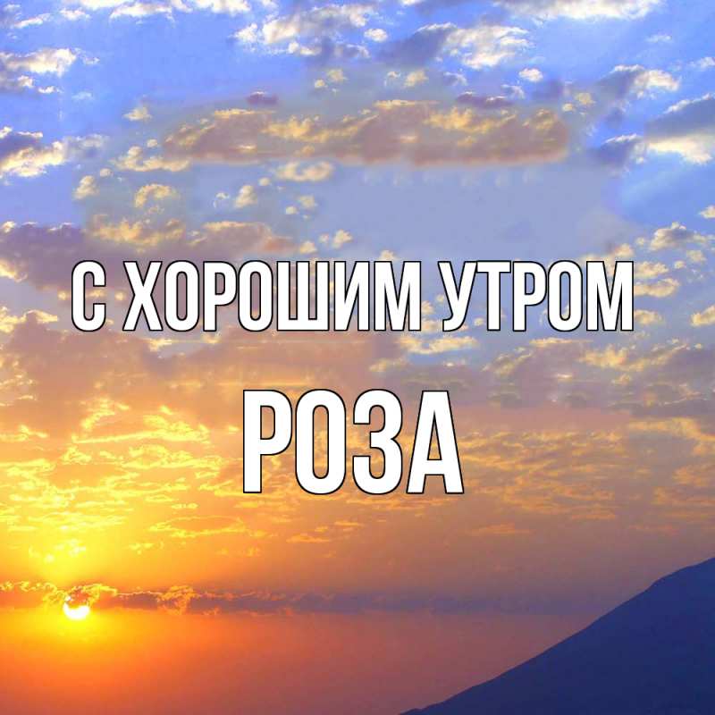 Картинка С хорошим утром, Роза