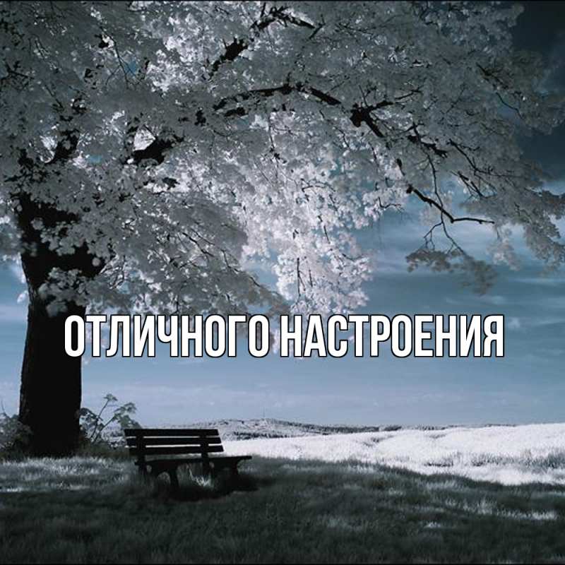 Картинка Обнимашки, Владислава