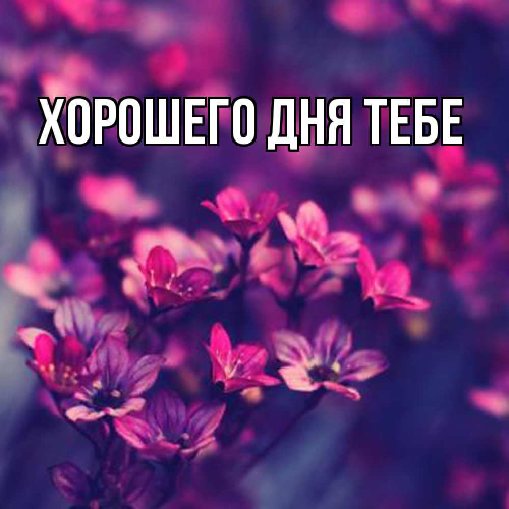 Открытка на каждый день с именем, Гастон Люблю тебя небольшие цветы 1 Прикольная открытка с пожеланием онлайн скачать бесплатно 