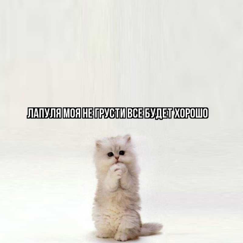 Открытка с именем, Лапуля моя, Не грусти, все будет хорошо