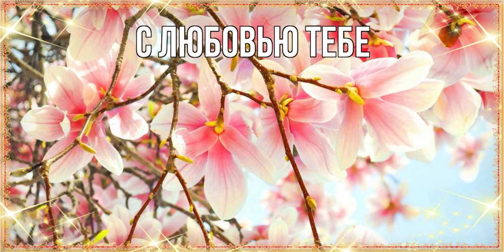 Открытка на каждый день с именем, Жан Люблю тебя цветы деревьев на 8 марта Прикольная открытка с пожеланием онлайн скачать бесплатно 