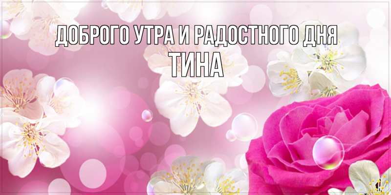 Картинка Доброго утра и радостного дня, Тина