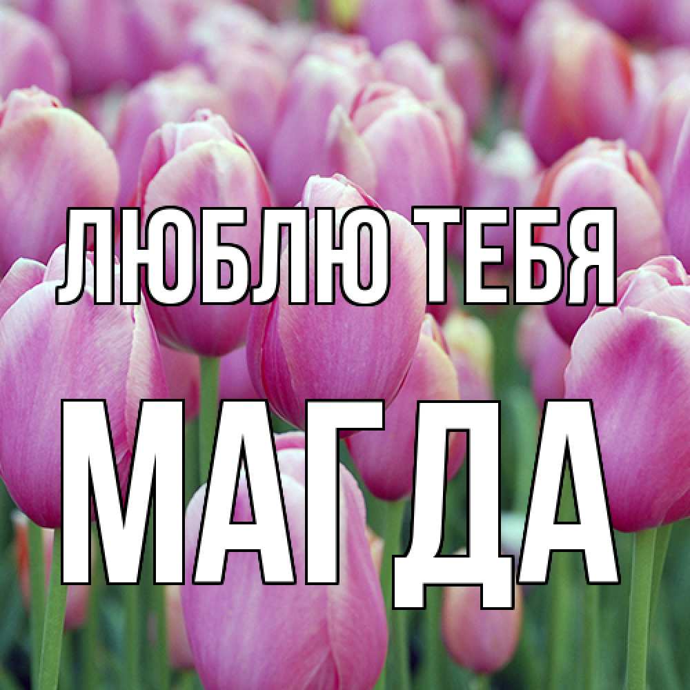 Открытка на каждый день с именем, Магда Люблю тебя на международный женский день 3 Прикольная открытка с пожеланием онлайн скачать бесплатно 