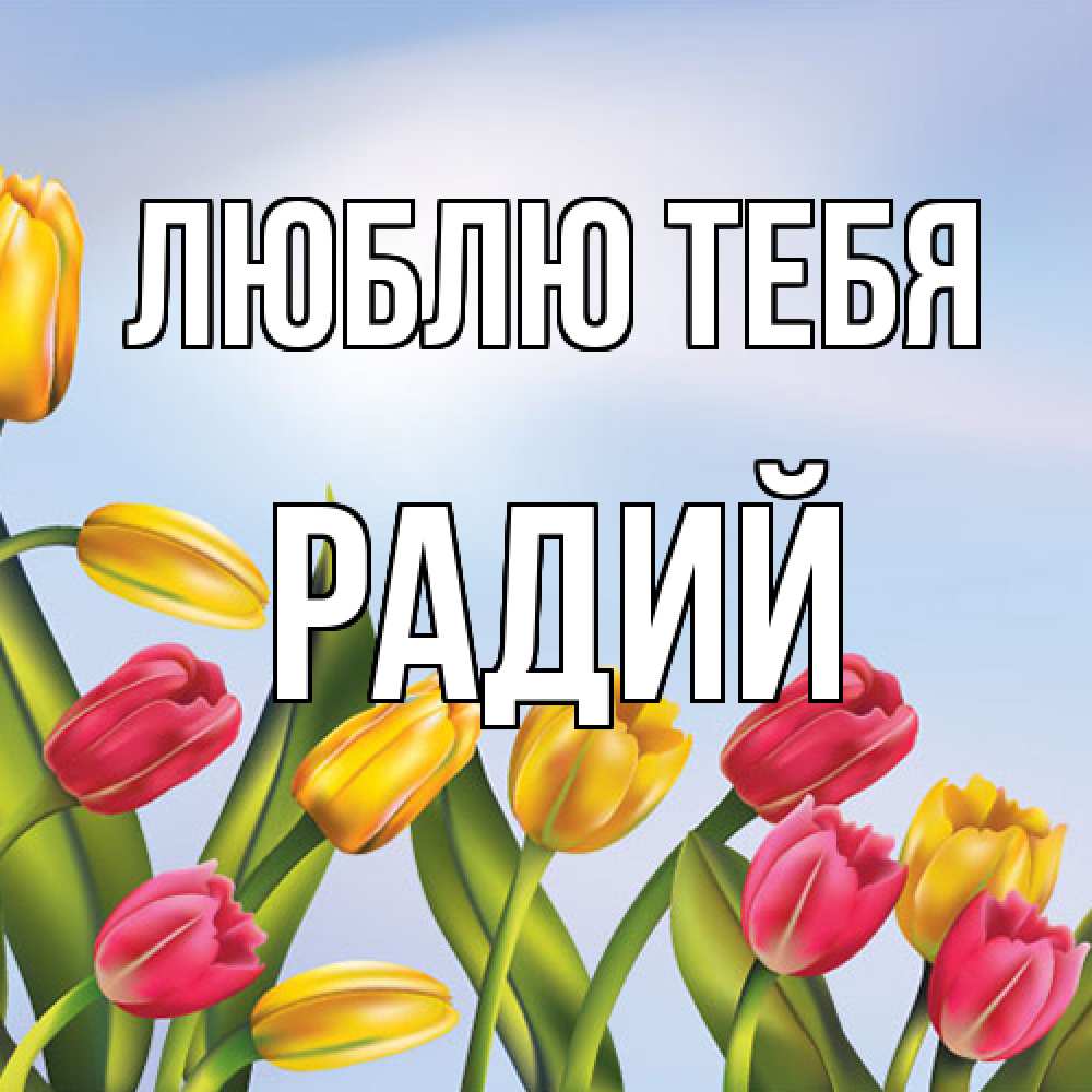Открытка на каждый день с именем, Радий Люблю тебя международный женский день Прикольная открытка с пожеланием онлайн скачать бесплатно 