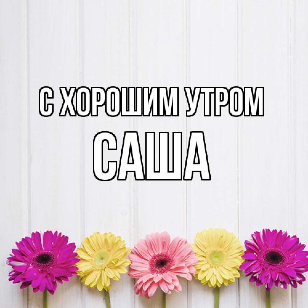 Открытка на каждый день с именем, Саша С хорошим утром красный желтый и розовый цветок Прикольная открытка с пожеланием онлайн скачать бесплатно 