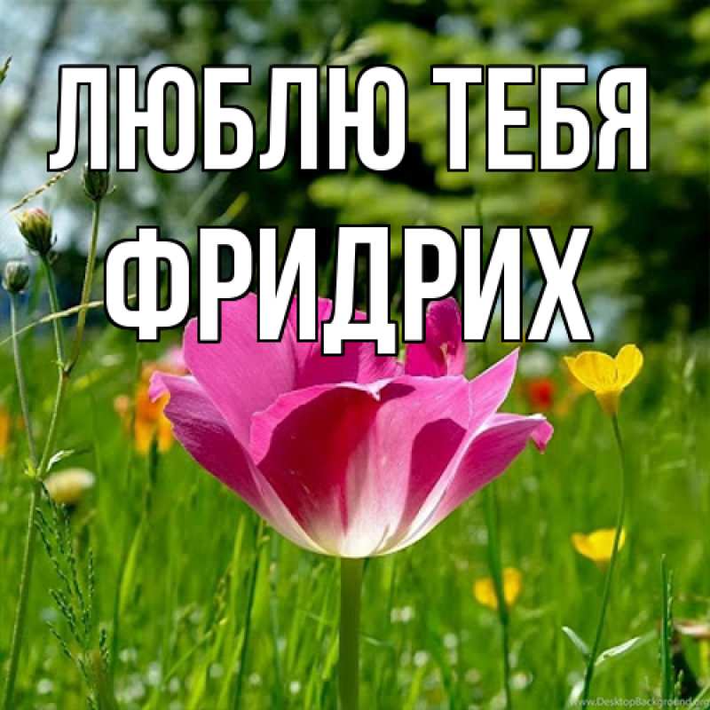 Открытка с именем, Фридрих, Люблю тебя