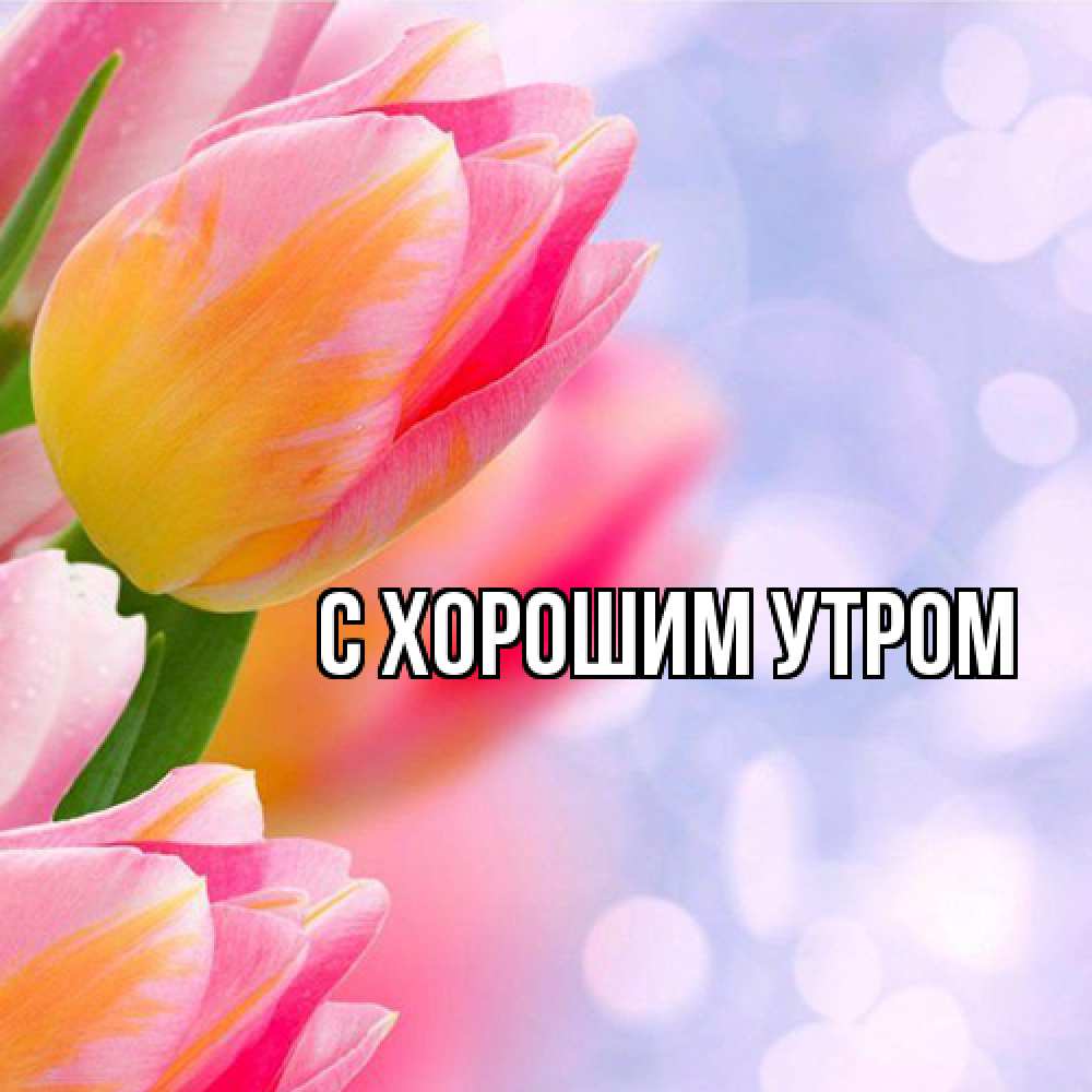 Открытка на каждый день с именем, Лёня Люблю тебя тюльпаны 2 Прикольная открытка с пожеланием онлайн скачать бесплатно 