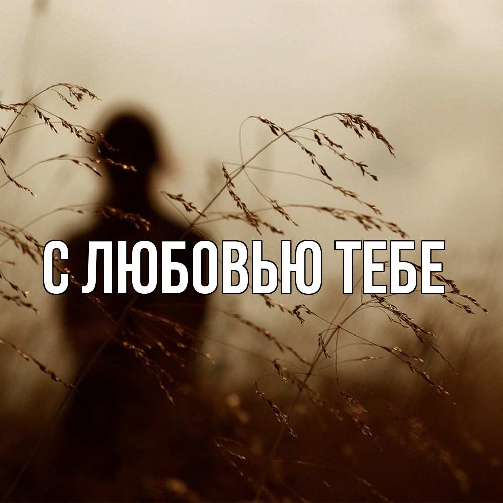 Открытка на каждый день с именем, Магда Скучашки силуэт девушки Прикольная открытка с пожеланием онлайн скачать бесплатно 