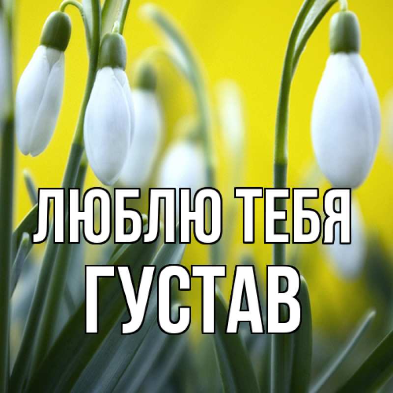 Картинка Люблю тебя, Густав