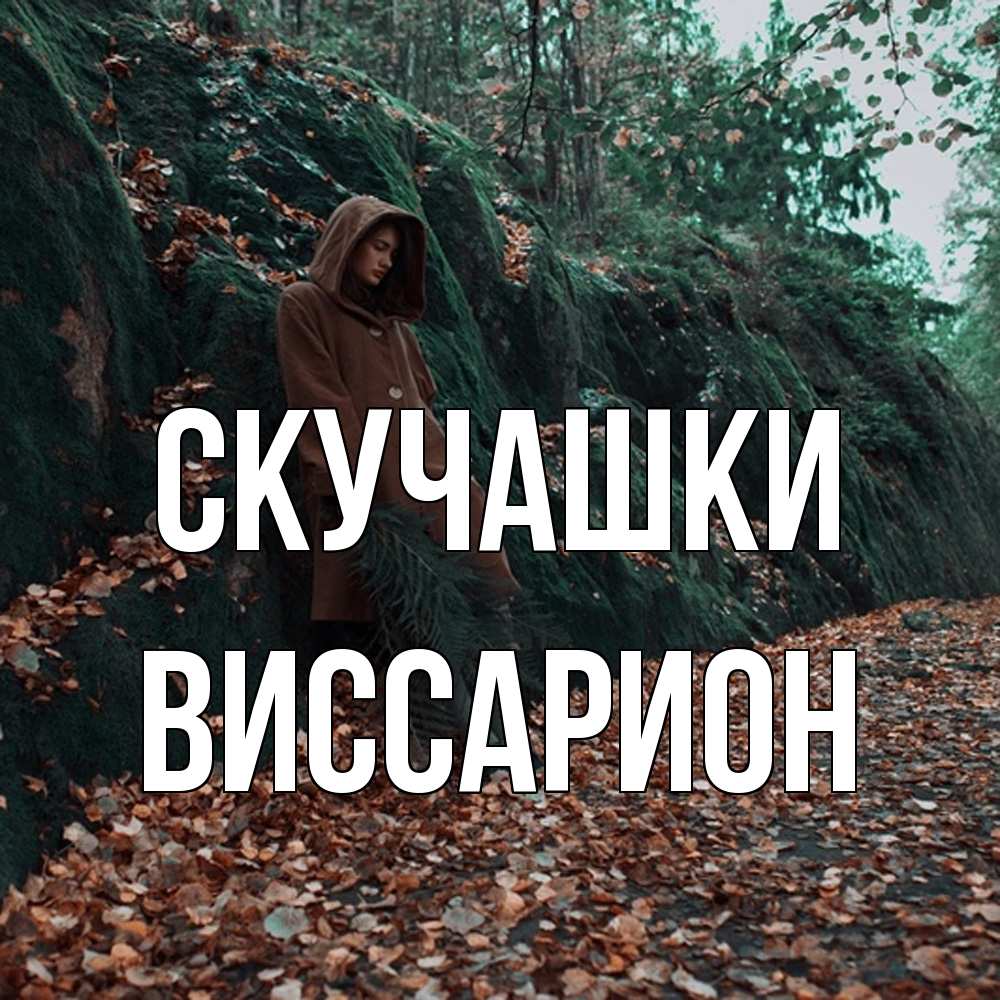 Открытка на каждый день с именем, Виссарион Скучашки скука 1 Прикольная открытка с пожеланием онлайн скачать бесплатно 