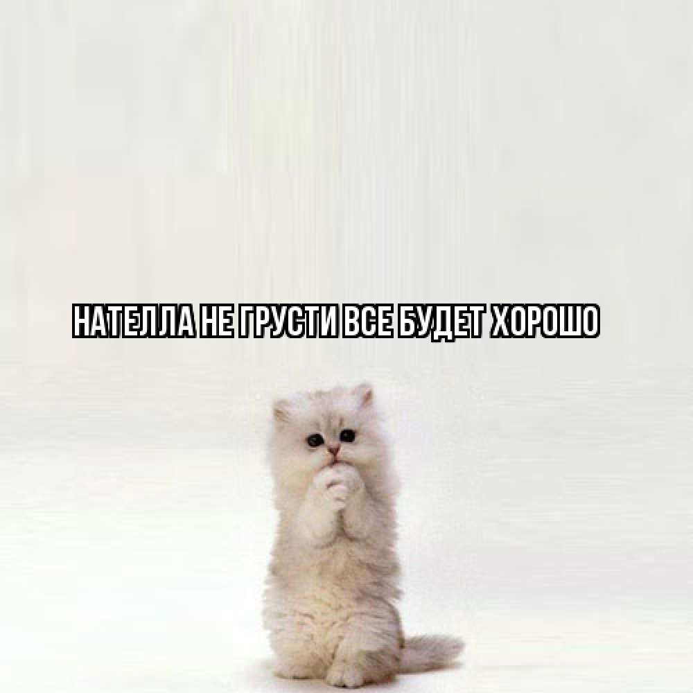 Открытка на каждый день с именем, Нателла Не грусти все будет хорошо грустный кот Прикольная открытка с пожеланием онлайн скачать бесплатно 