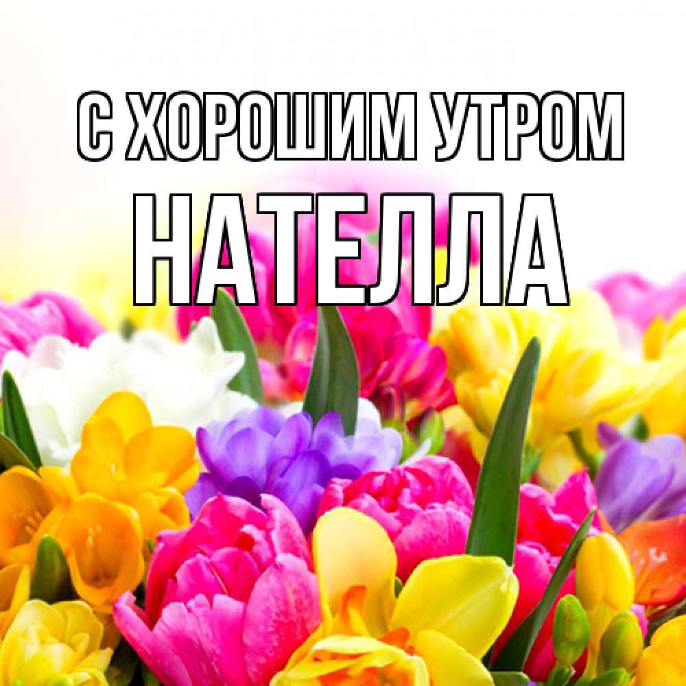 Открытка на каждый день с именем, Нателла С хорошим утром создать открытку со свое подписью Прикольная открытка с пожеланием онлайн скачать бесплатно 