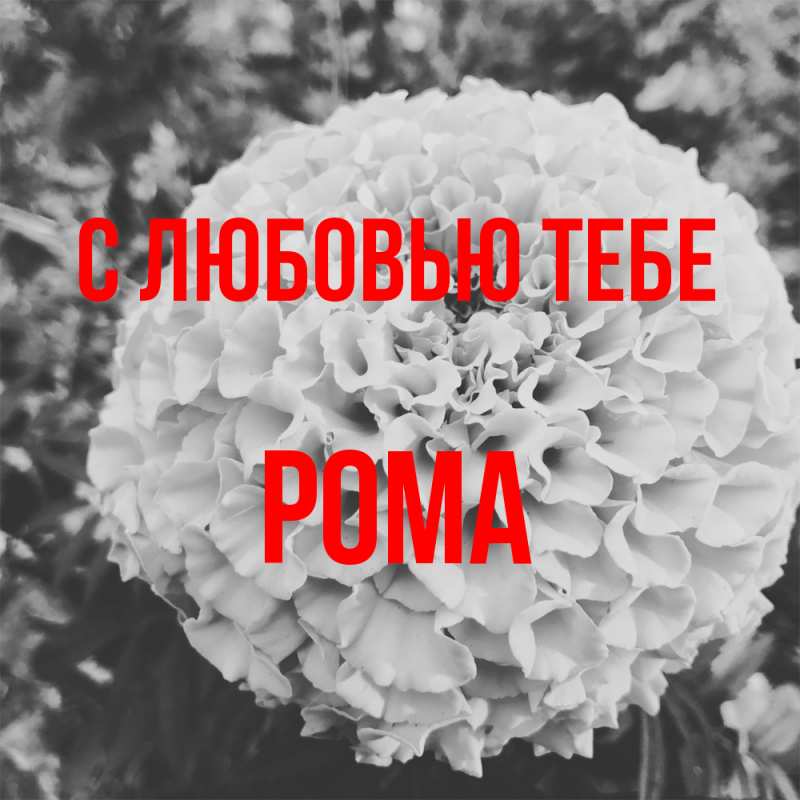 Картинка С любовью тебе, Рома