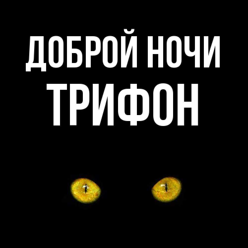 Открытка на каждый день с именем, Трифон Доброй ночи сладких снов бесстрашный мой дружочек Прикольная открытка с пожеланием онлайн скачать бесплатно 
