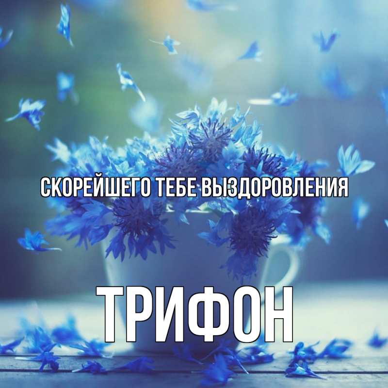 Картинка Скорейшего тебе выздоровления, Трифон