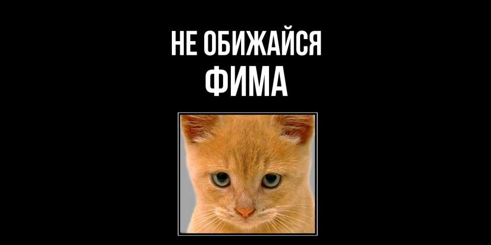 Открытка на каждый день с именем, Фима Не обижайся рыжий грустный кот просит прощения Прикольная открытка с пожеланием онлайн скачать бесплатно 