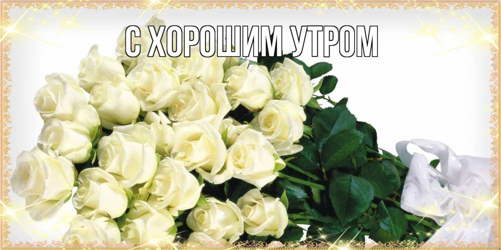 Открытка на каждый день с именем, Иван Люблю тебя букет с розами желтокремового цвета для любимой на международный женский день Прикольная открытка с пожеланием онлайн скачать бесплатно 