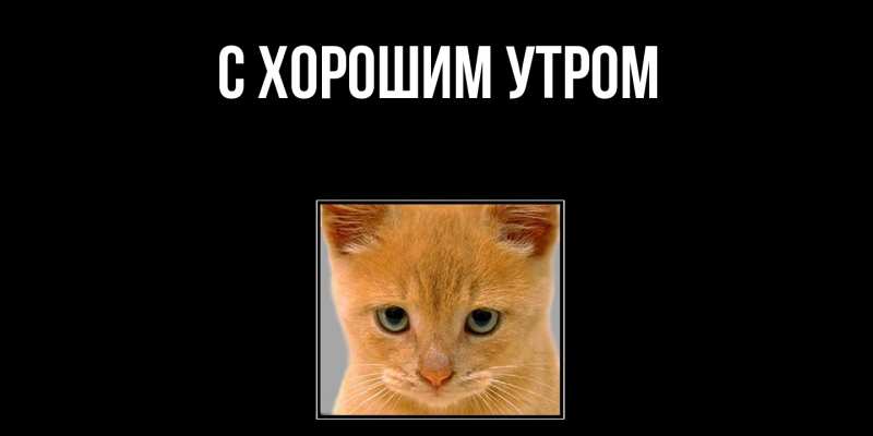 Картинка Скучашки, Катюша