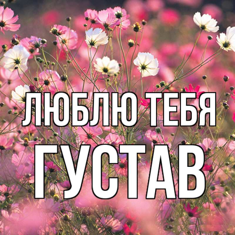 Картинка Люблю тебя, Густав