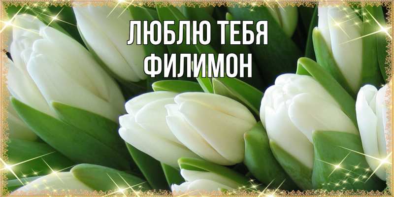 Картинка Люблю тебя, Филимон