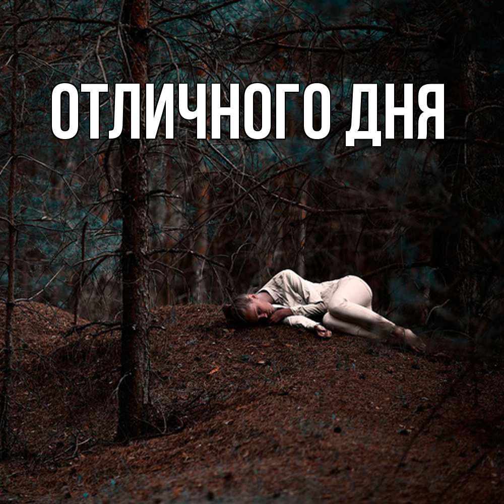 Открытка на каждый день с именем, Леся Скучашки очень Прикольная открытка с пожеланием онлайн скачать бесплатно 