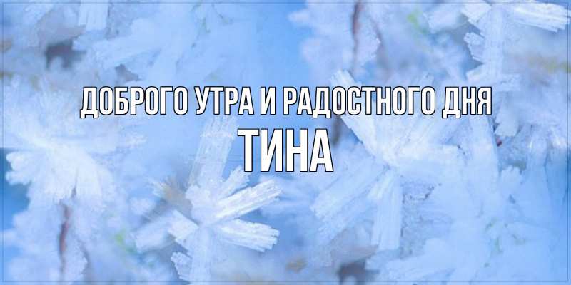 Картинка Доброго утра и радостного дня, Тина