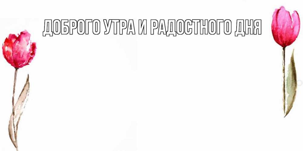Открытка на каждый день с именем, Шерлок С днем всех влюбленных Открытки на день всех влюбленных с тюльпанами акварелью Прикольная открытка с пожеланием онлайн скачать бесплатно 
