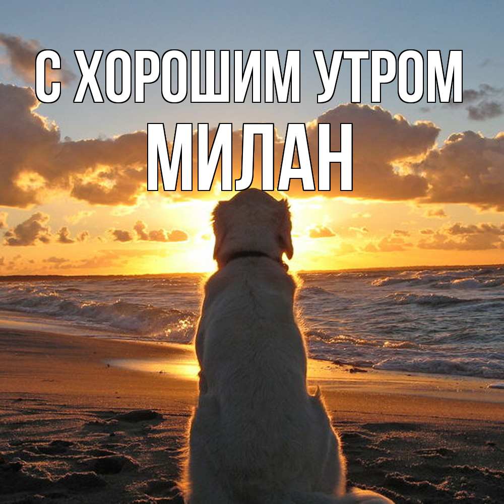 Открытка на каждый день с именем, Милан С хорошим утром восход солнца Прикольная открытка с пожеланием онлайн скачать бесплатно 