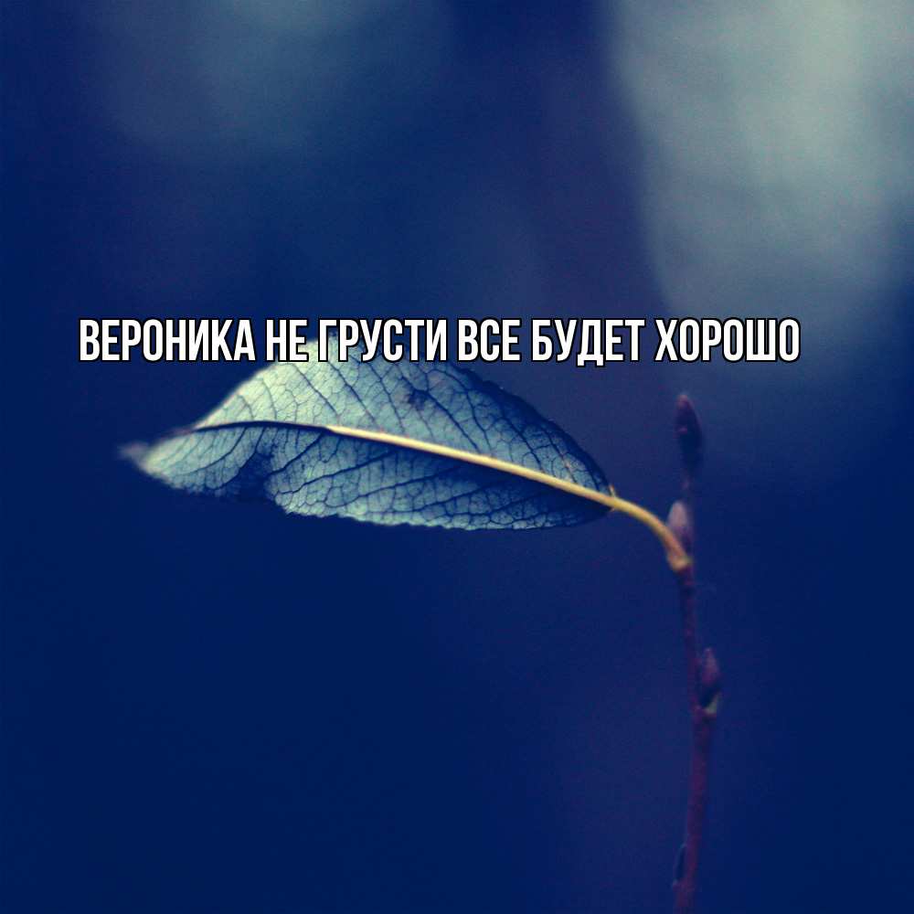 Открытка на каждый день с именем, Вероника Не грусти все будет хорошо растение Прикольная открытка с пожеланием онлайн скачать бесплатно 