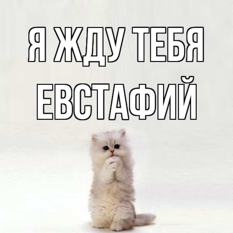Картинка Я жду тебя, Евстафий