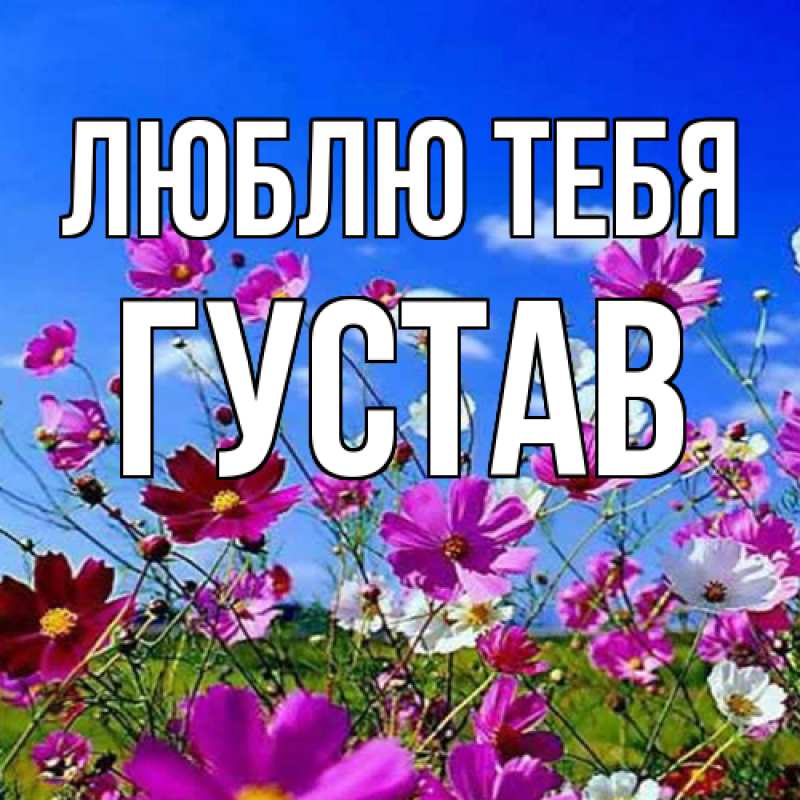 Картинка Люблю тебя, Густав