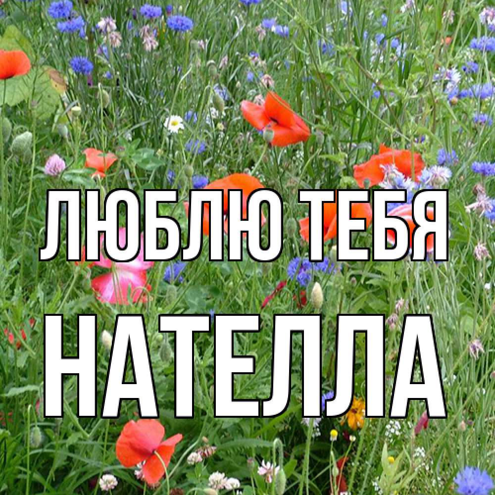 Открытка на каждый день с именем, Нателла Люблю тебя международный женский день 4 Прикольная открытка с пожеланием онлайн скачать бесплатно 