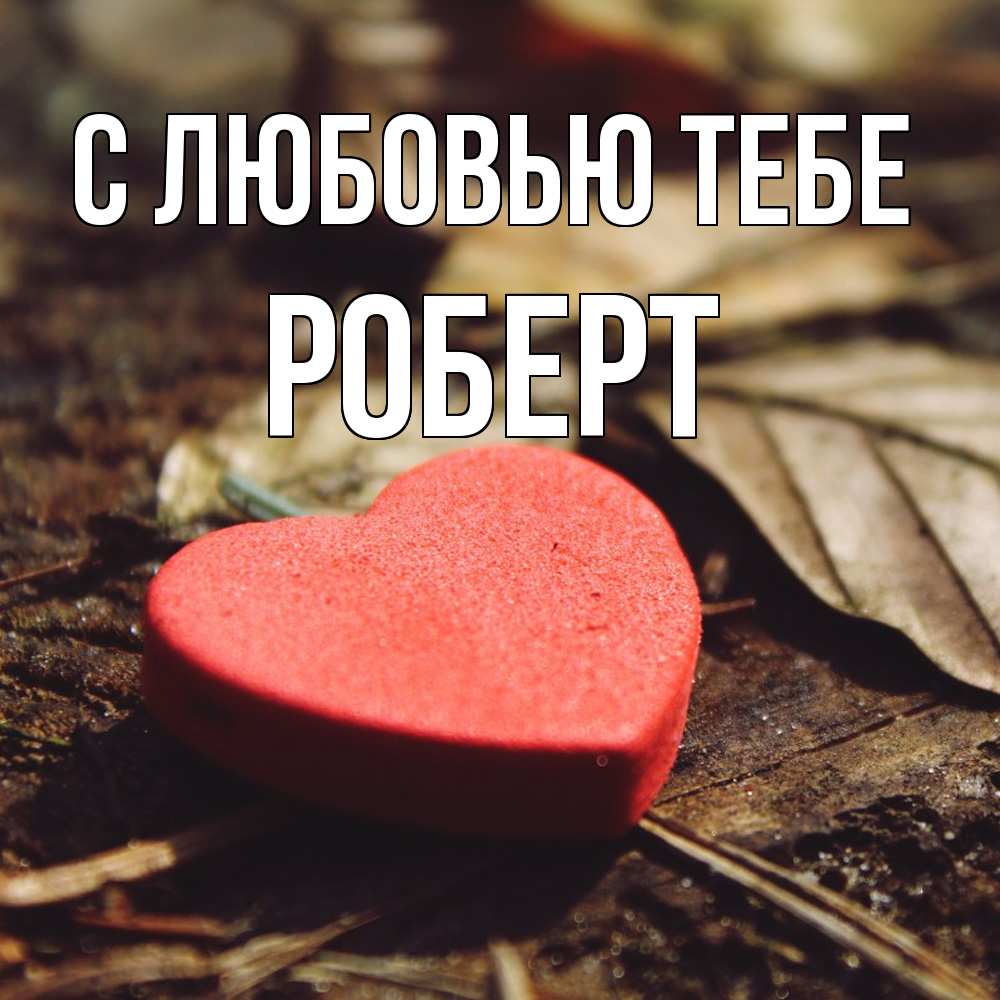 Открытка на каждый день с именем, Роберт С любовью тебе листья деревье 4 Прикольная открытка с пожеланием онлайн скачать бесплатно 