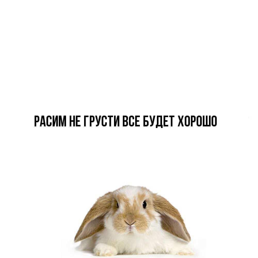 Открытка на каждый день с именем, Расим Не грусти все будет хорошо коричнево белый заяц с большими ушками Прикольная открытка с пожеланием онлайн скачать бесплатно 