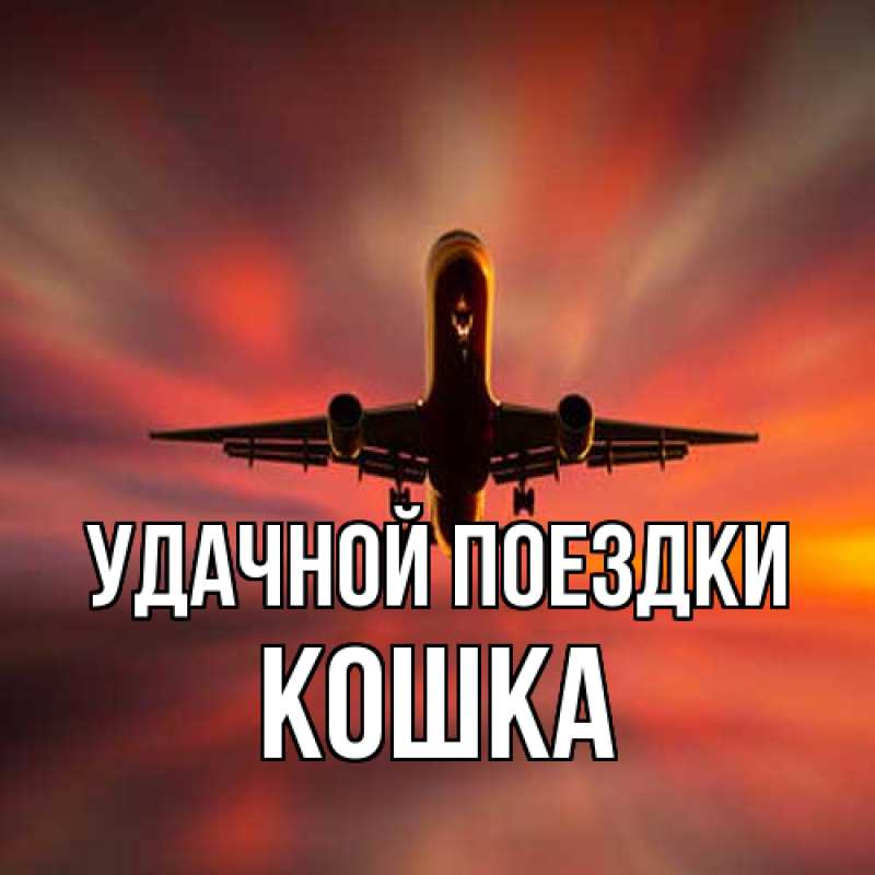 Открытка с именем, Кошка, Удачной поездки