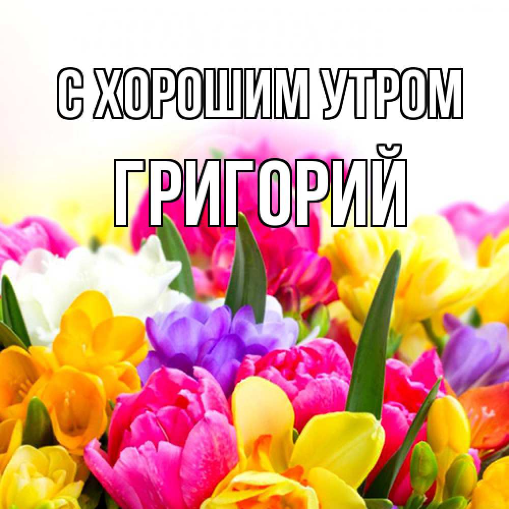 Открытка на каждый день с именем, Григорий С хорошим утром создать открытку со свое подписью Прикольная открытка с пожеланием онлайн скачать бесплатно 