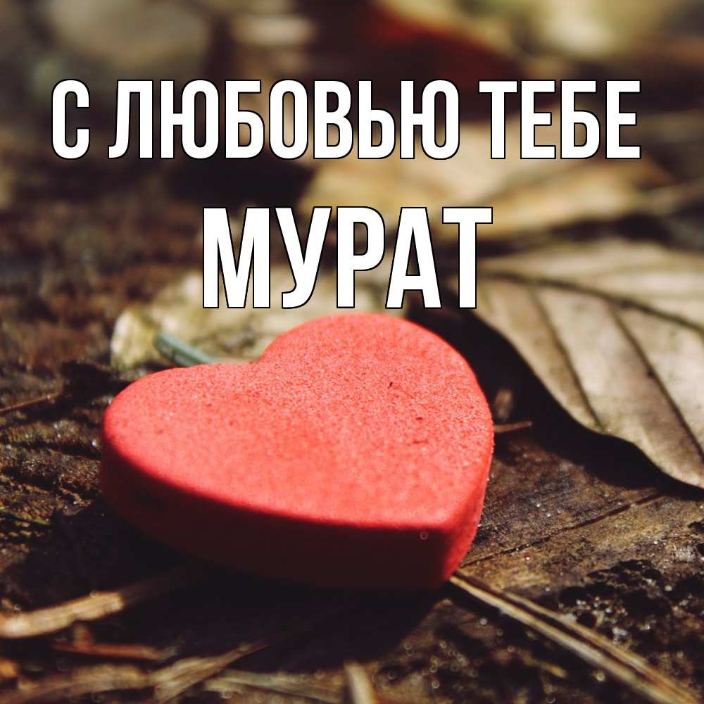 Открытка на каждый день с именем, Мурат С любовью тебе листья деревье 4 Прикольная открытка с пожеланием онлайн скачать бесплатно 