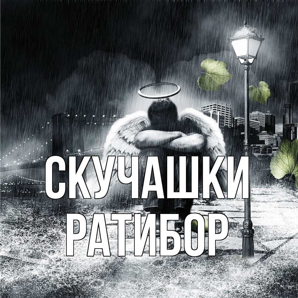 Открытка на каждый день с именем, Ратибор Скучашки на улице Прикольная открытка с пожеланием онлайн скачать бесплатно 