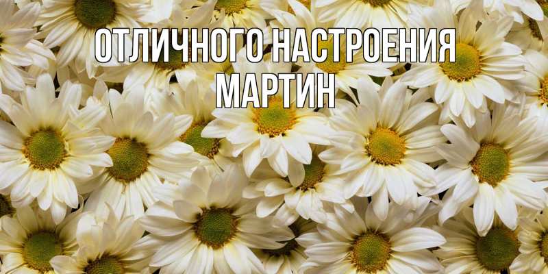 Открытка с именем, Мартин, Отличного настроения