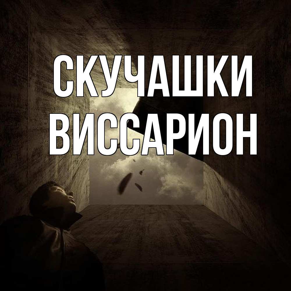 Открытка на каждый день с именем, Виссарион Скучашки тут Прикольная открытка с пожеланием онлайн скачать бесплатно 