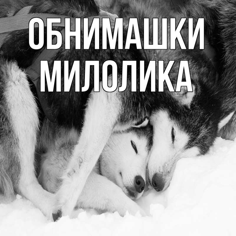 Картинка Обнимашки, Милолика