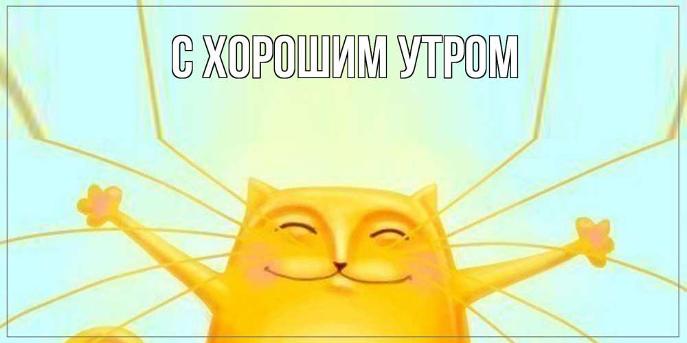 Открытка на каждый день с именем, Шакира Как дела кот Прикольная открытка с пожеланием онлайн скачать бесплатно 