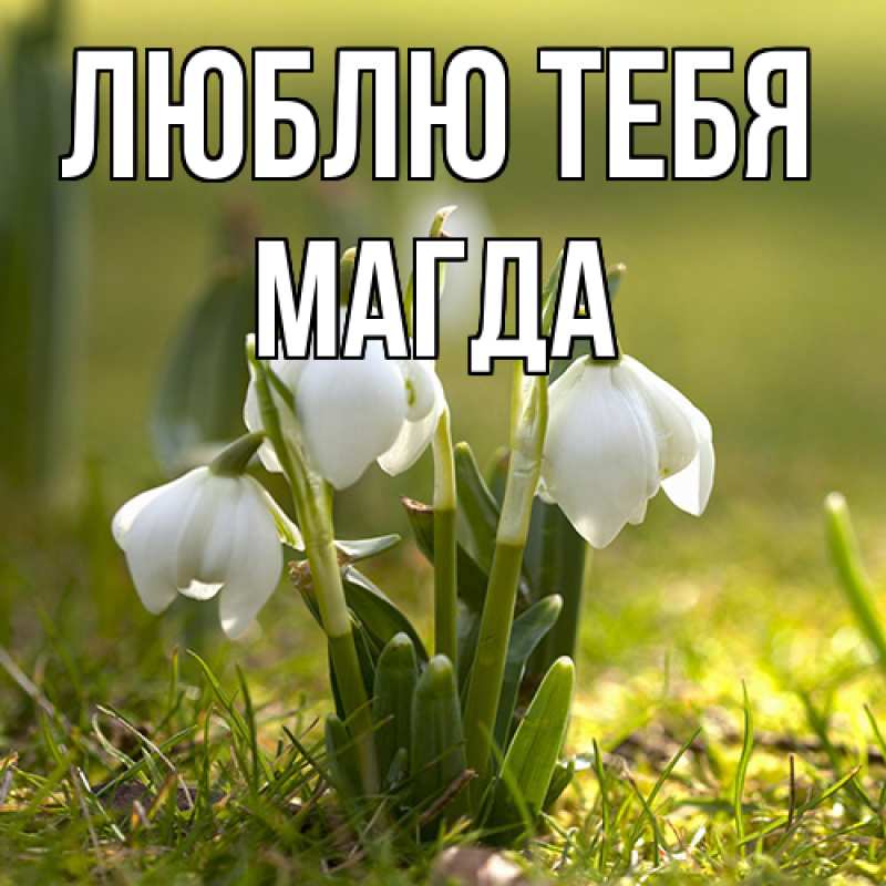 Картинка Люблю тебя, Магда
