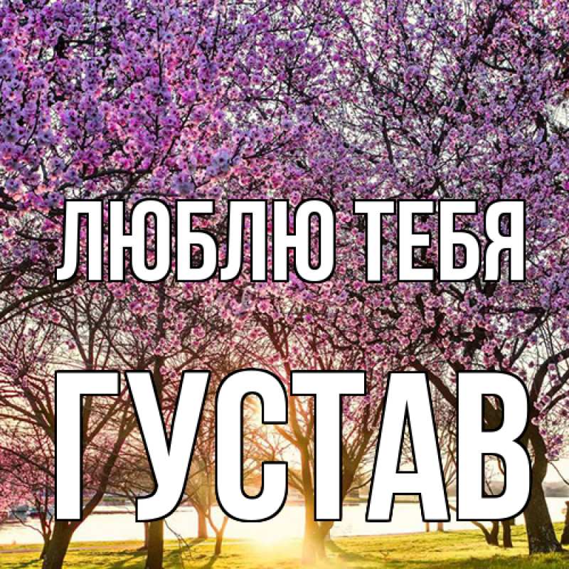 Картинка Люблю тебя, Густав