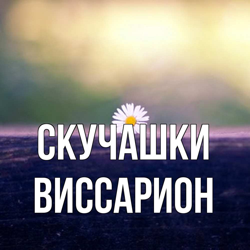 Открытка на каждый день с именем, Виссарион Скучашки приходи в гости Прикольная открытка с пожеланием онлайн скачать бесплатно 