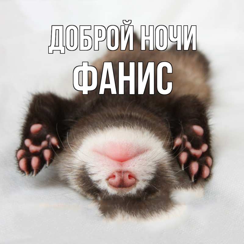 Картинка Доброй ночи, Фанис