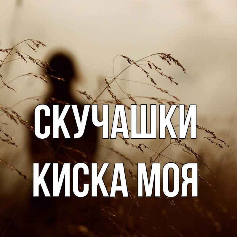 Картинка Скучашки, Киска моя