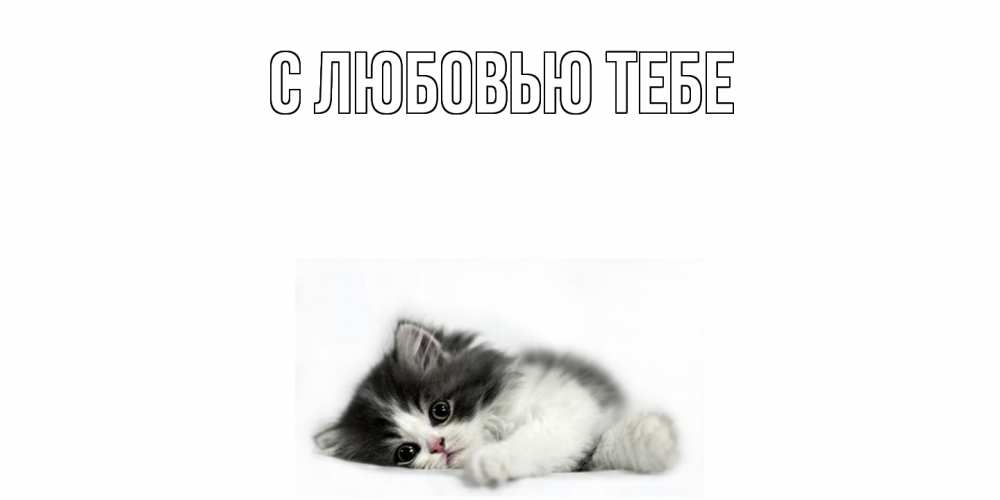 Открытка на каждый день с именем, Магда Скучашки кот, скука Прикольная открытка с пожеланием онлайн скачать бесплатно 