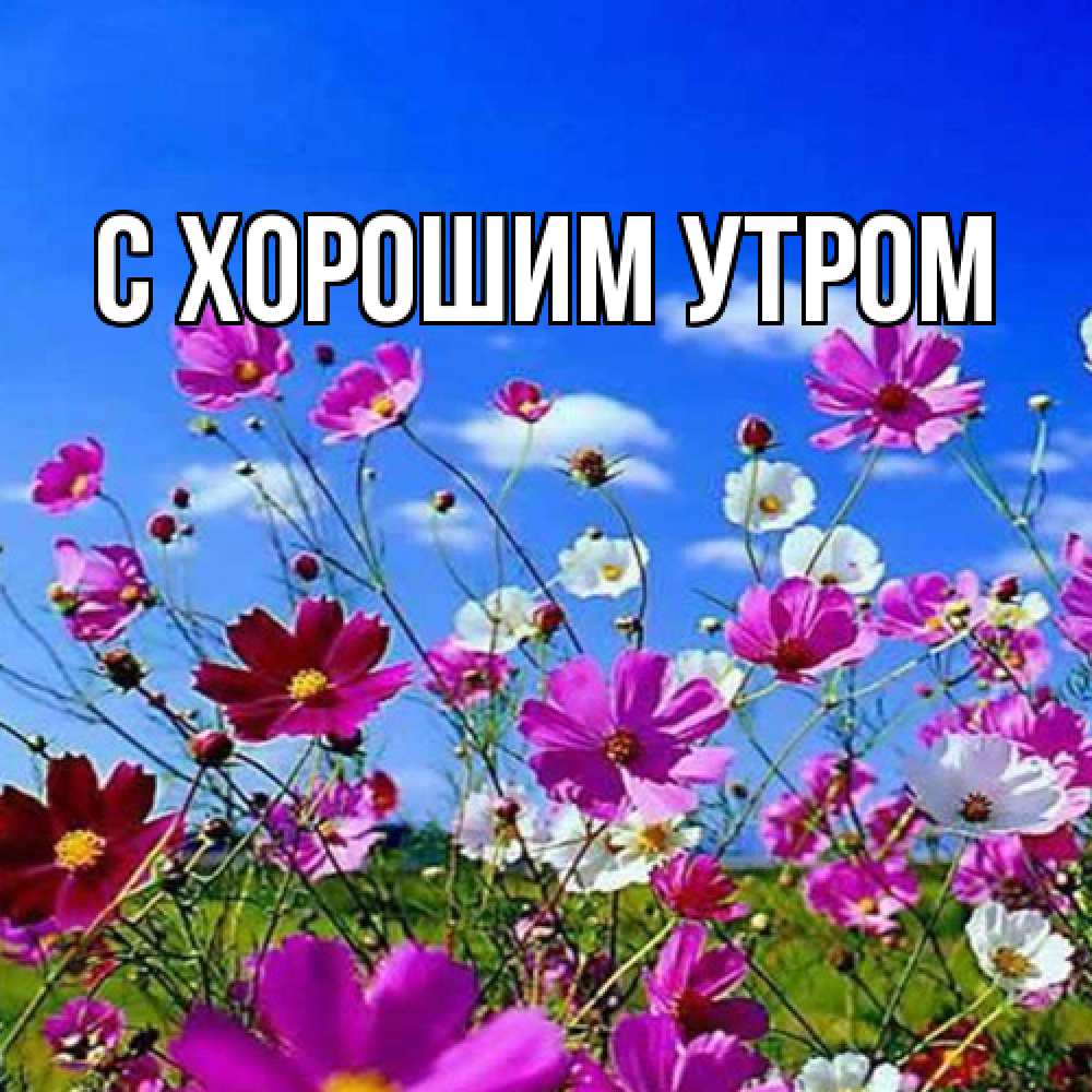 Открытка на каждый день с именем, Юния Люблю тебя цветы Прикольная открытка с пожеланием онлайн скачать бесплатно 